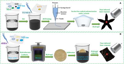 Intelligent Hydrogel Actuators With Controllable Deformations and Movements